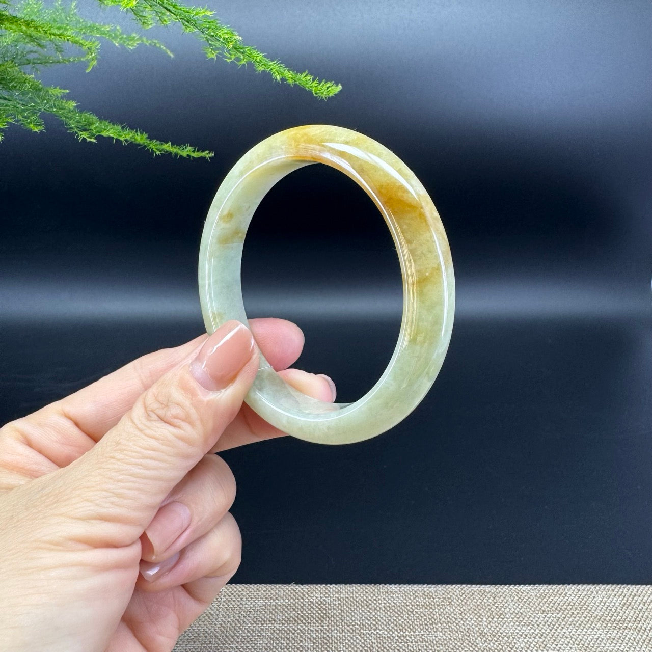 Genuine Burmese Honey Yellow Jade Jadeite Bangle Bracelet ( 56.5mm )