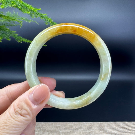 Genuine Burmese Yellow Green Jade Jadeite Bangle Bracelet ( 56.2mm )