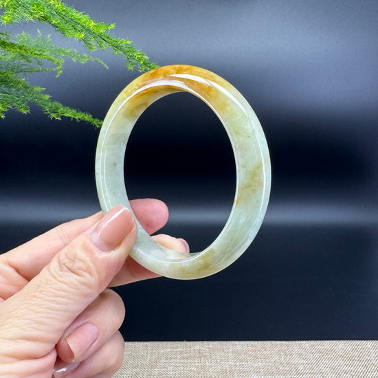 Genuine Burmese Yellow Green Jade Jadeite Bangle Bracelet ( 56.2mm )