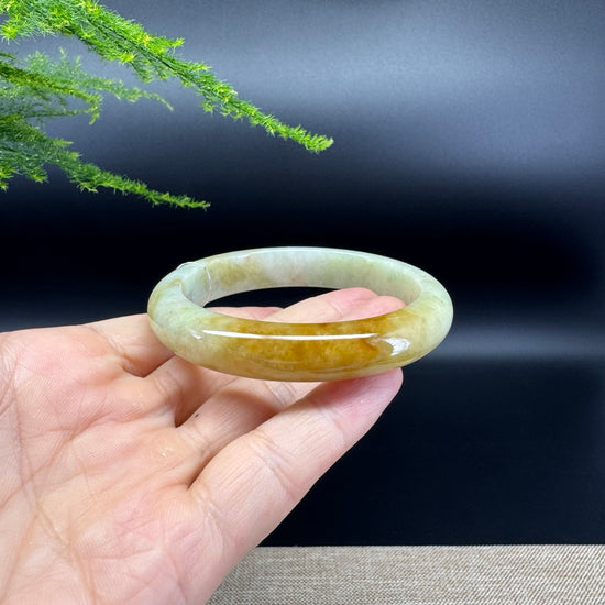 Genuine Burmese Yellow Green Jade Jadeite Bangle Bracelet ( 56.2mm )