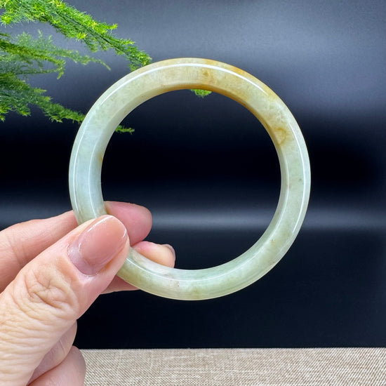 Genuine Burmese Yellow Green Jade Jadeite Bangle Bracelet ( 56.2mm )