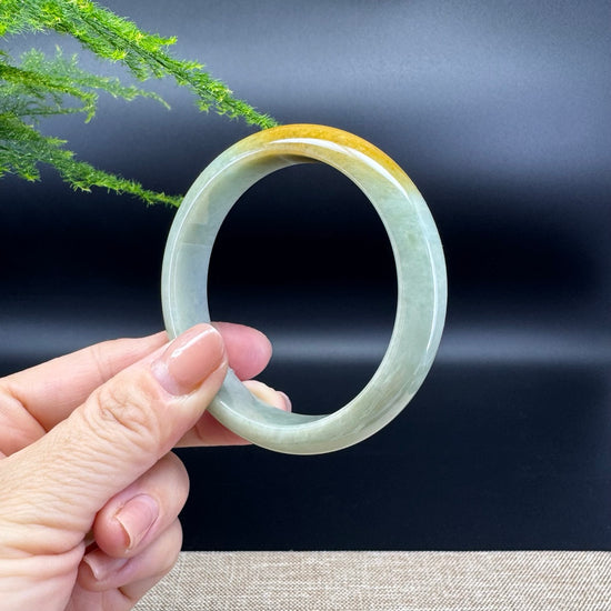 Genuine Burmese Yellow Green Jade Jadeite Bangle Bracelet ( 56.9mm )