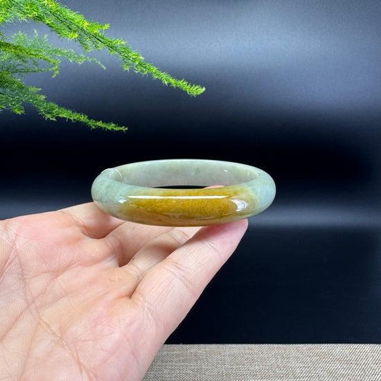 Genuine Burmese Yellow Green Jade Jadeite Bangle Bracelet ( 56.9mm )