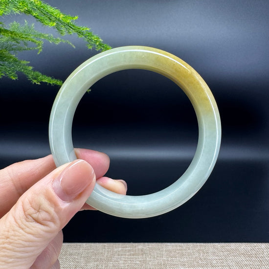 Genuine Burmese Yellow Green Jade Jadeite Bangle Bracelet ( 56.7mm )
