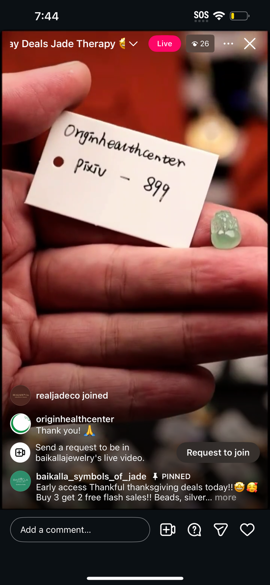 "Live" Icy Green Jadeite Jade Pixiu (11/20/25)