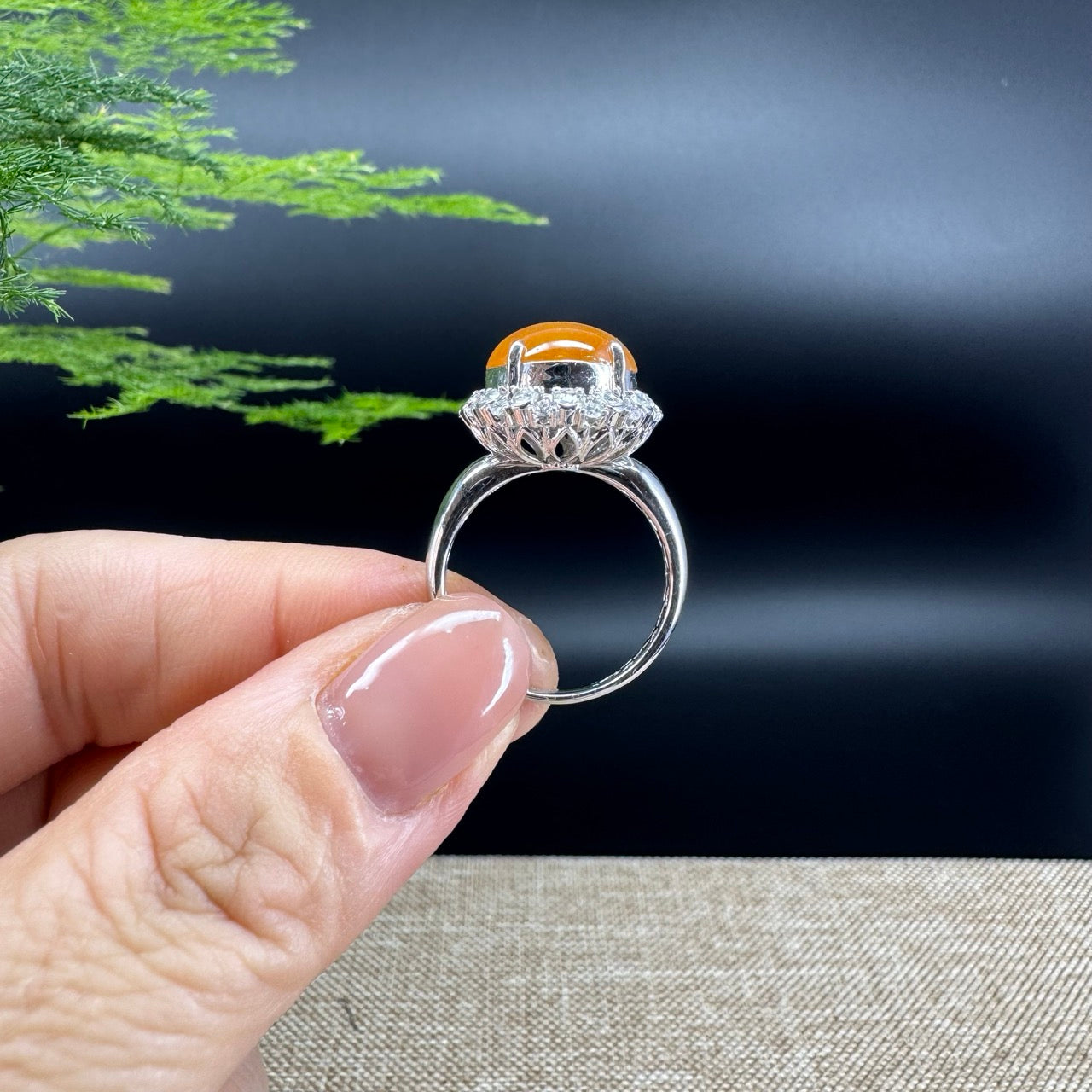 RealJade® "Signature Signet" 18K White Gold  Bronze Yellow Jadeite Jade Classic Ring