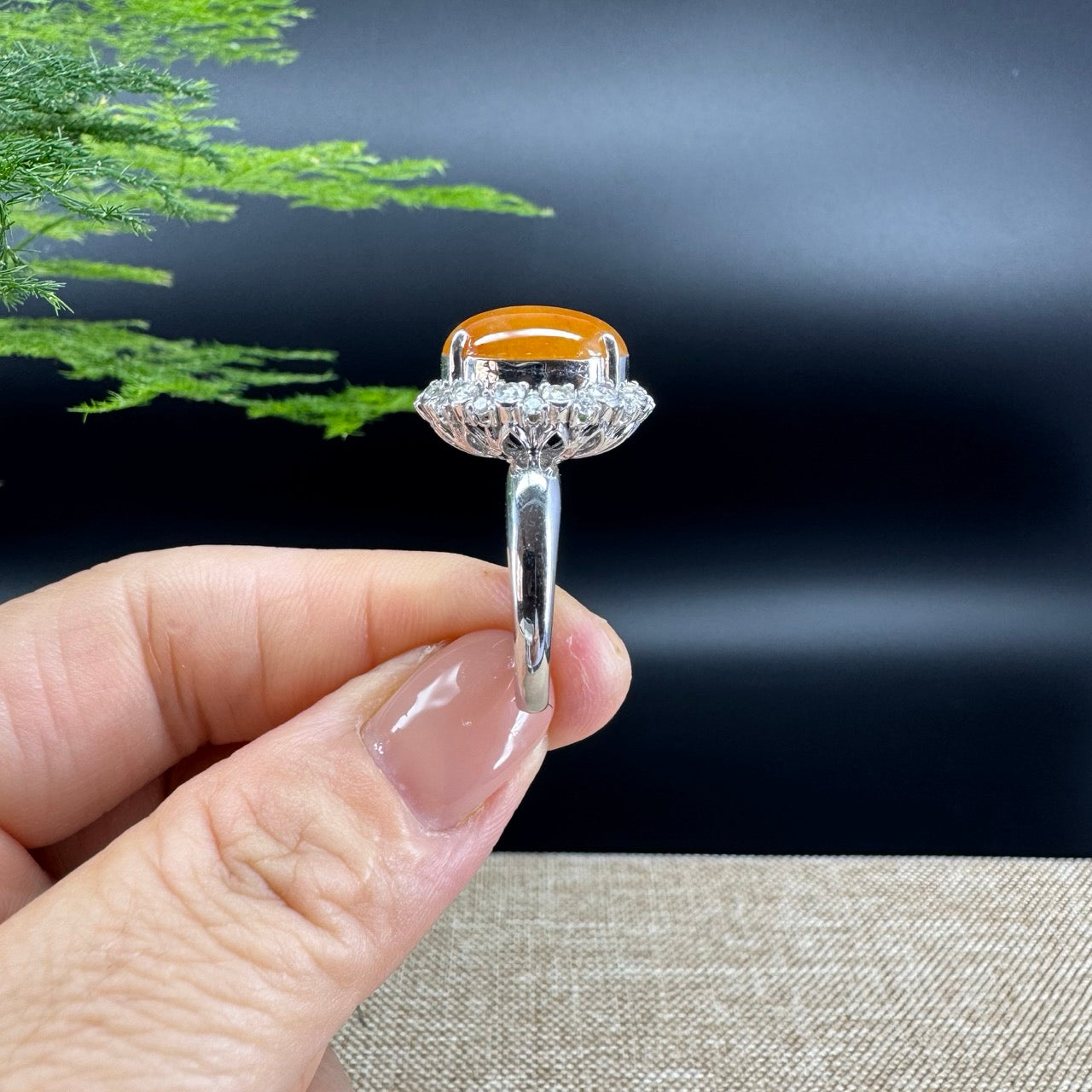 RealJade® "Signature Signet" 18K White Gold  Bronze Yellow Jadeite Jade Classic Ring