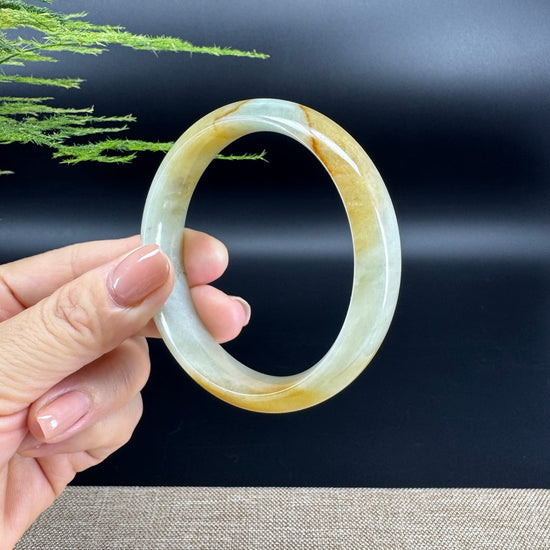 Genuine Burmese Yellow Green Jade Jadeite Bangle Bracelet ( 57.3mm )
