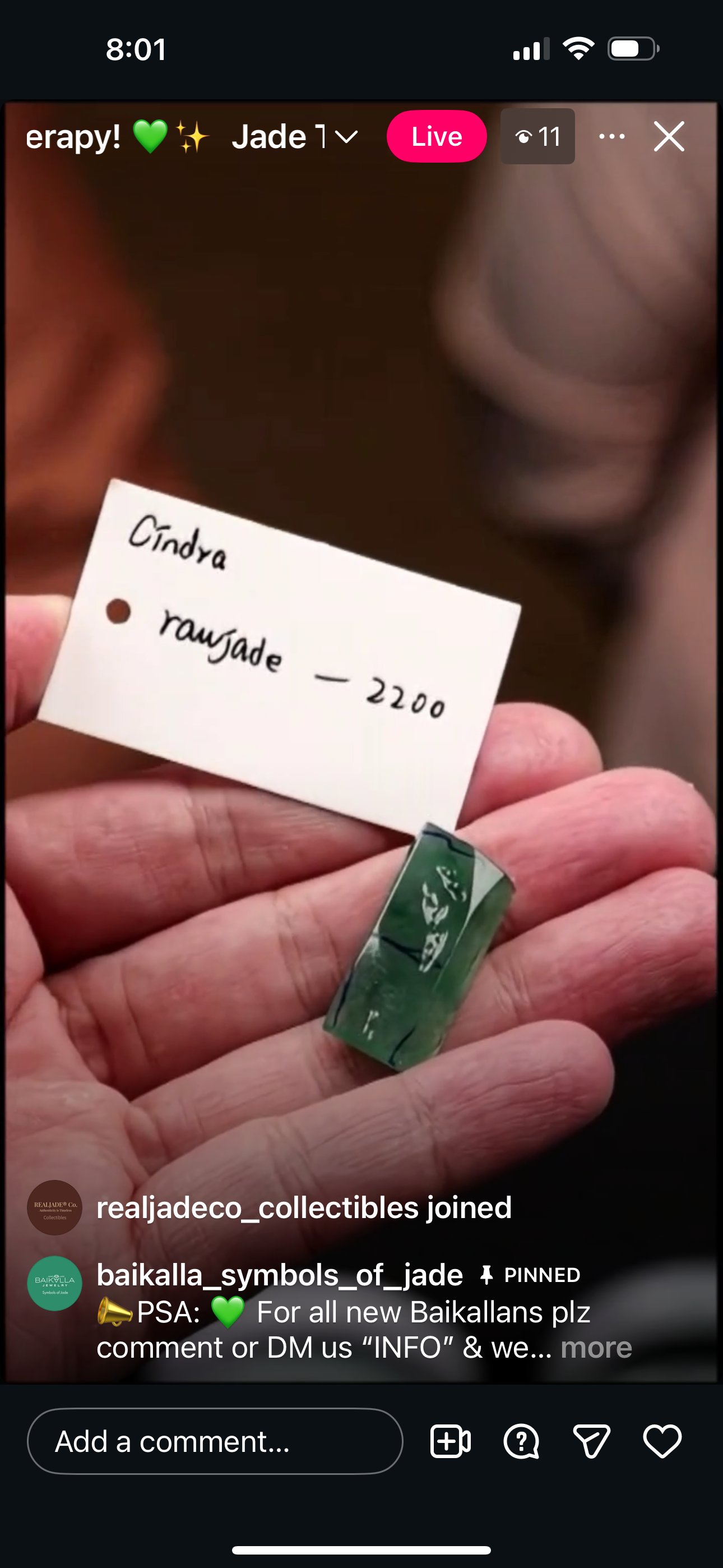 "Live" Natural Icy Rich Green Flower Jadeite Jade Raw (12/15/2025)