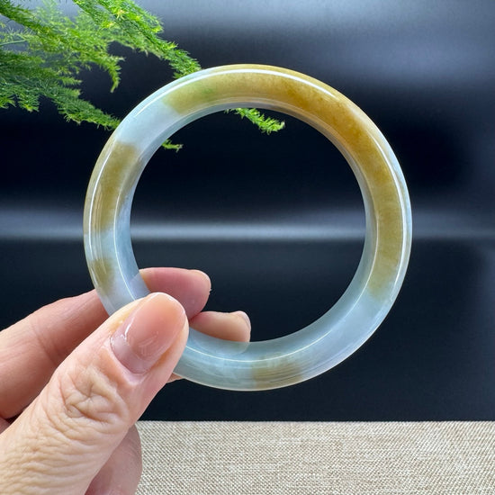 Genuine Burmese Yellow Green Jade Jadeite Bangle Bracelet ( 58.9mm )