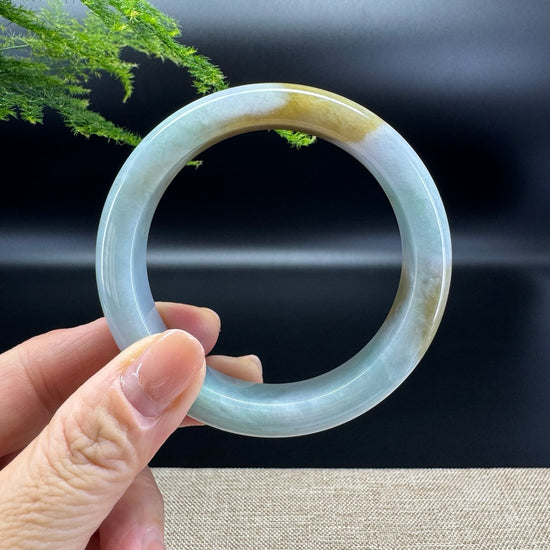 Genuine Burmese Yellow Green Jade Jadeite Bangle Bracelet ( 58.9mm )