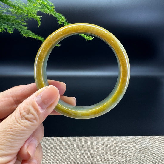 Genuine Burmese Yellow Green Jade Jadeite Bangle Bracelet ( 58.9mm )