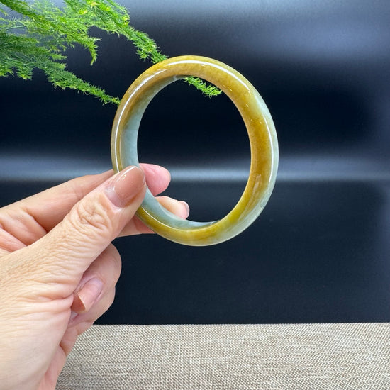 Genuine Burmese Yellow Green Jade Jadeite Bangle Bracelet ( 58.9mm )
