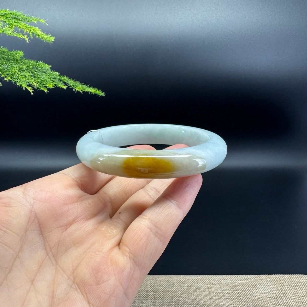 Genuine Burmese Yellow Green Jade Jadeite Bangle Bracelet (59.7mm)