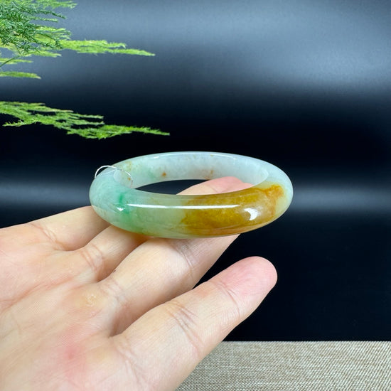 Genuine Burmese  Yellow Green Jade Jadeite Bangle Bracelet (52.6mm)
