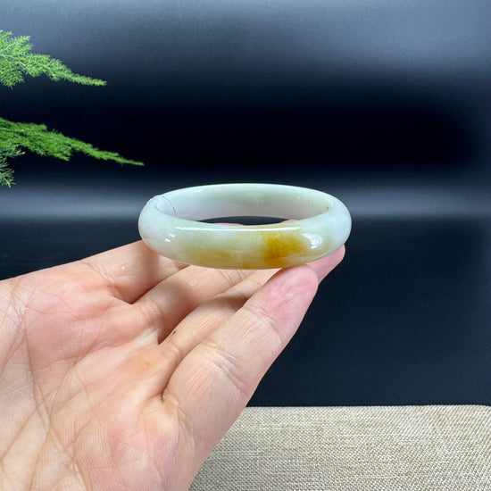 Genuine Burmese Yellow Green Jade Jadeite Bangle Bracelet ( 52.8*47.6mm )