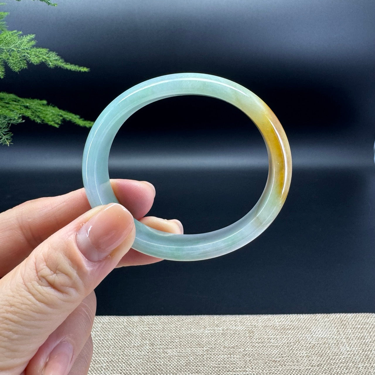 Genuine Burmese Yellow Green Jade Jadeite Bangle Bracelet ( 51.9*45.1mm )