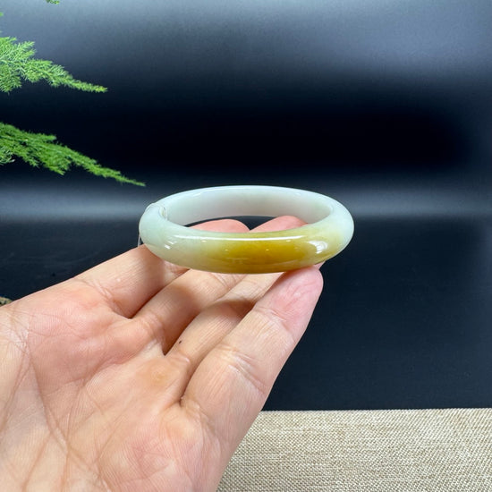 Genuine Burmese Yellow Green Jade Jadeite Bangle Bracelet ( 52.4*47.7mm )