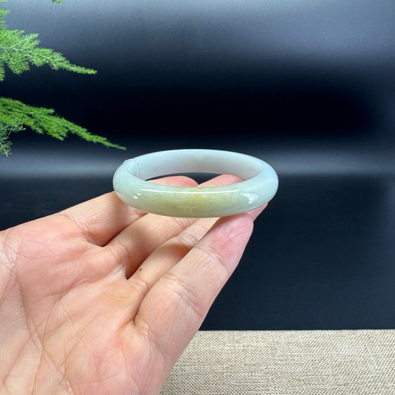 Genuine Burmese Yellow Green Jade Jadeite Bangle Bracelet ( 49.9mm )