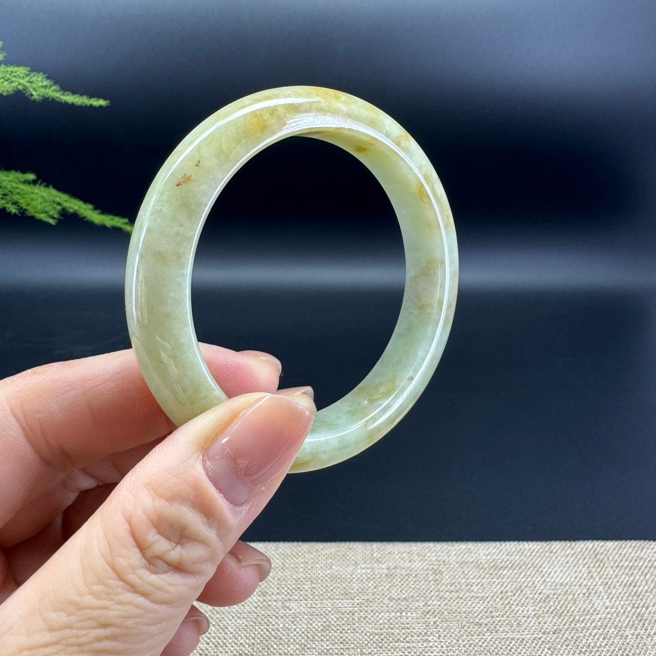 Genuine Burmese Yellow Jade Jadeite Bangle Bracelet ( 53.3mm )