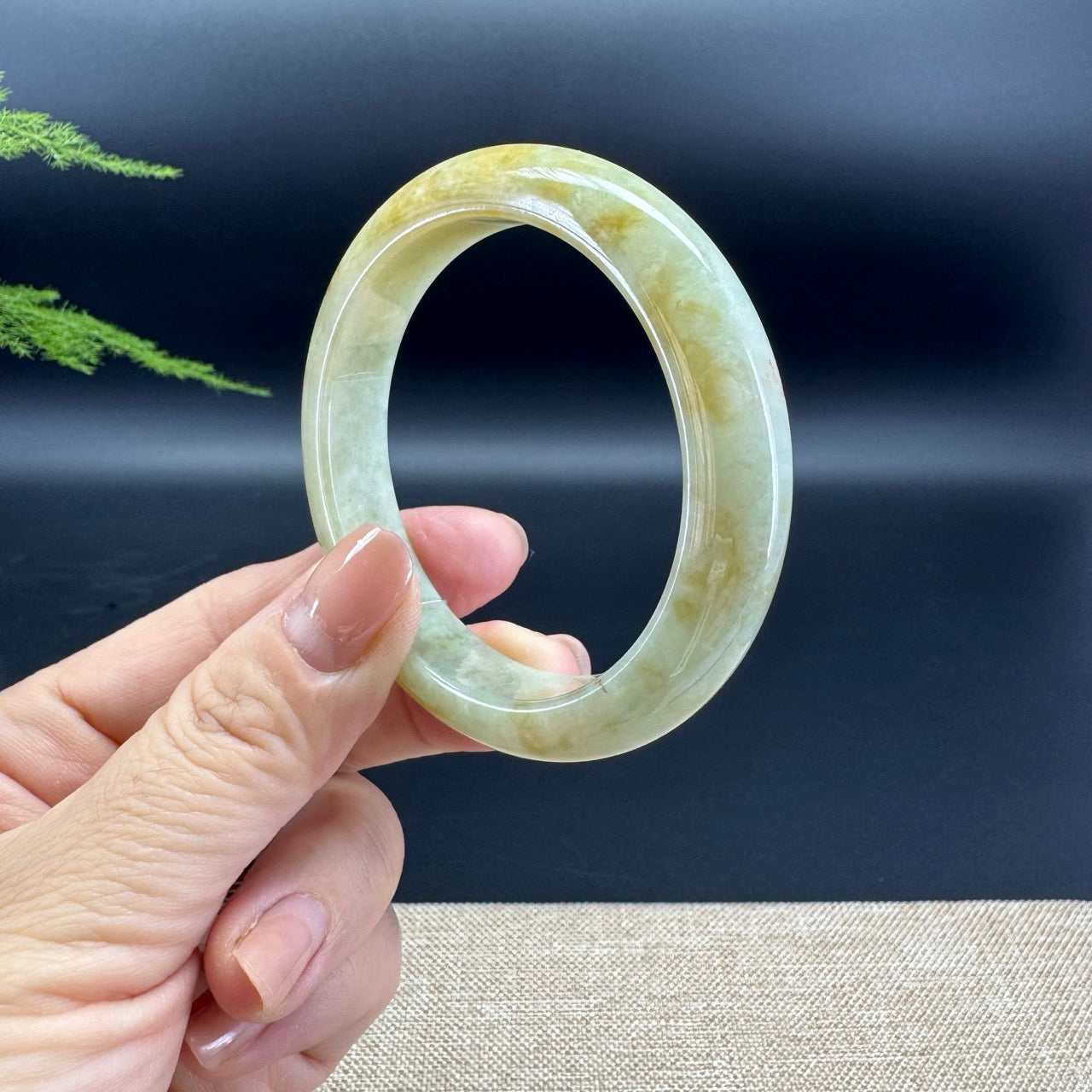 Genuine Burmese Yellow Jade Jadeite Bangle Bracelet ( 53.3mm )