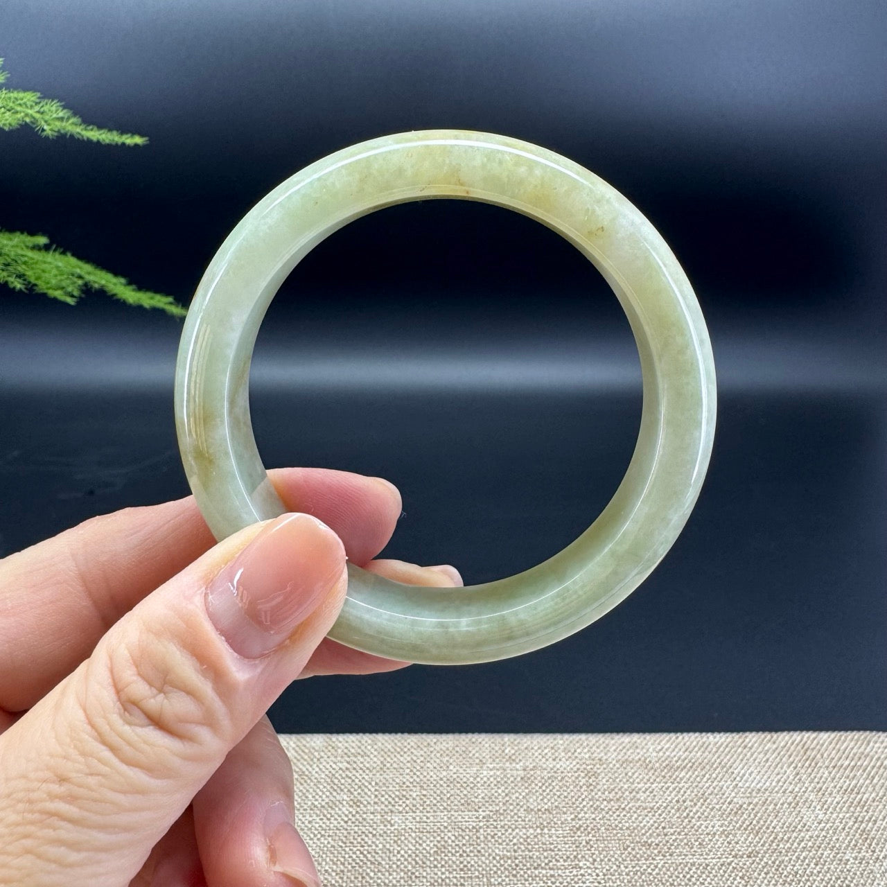 Genuine Burmese Yellow Jade Jadeite Bangle Bracelet ( 53.3mm )