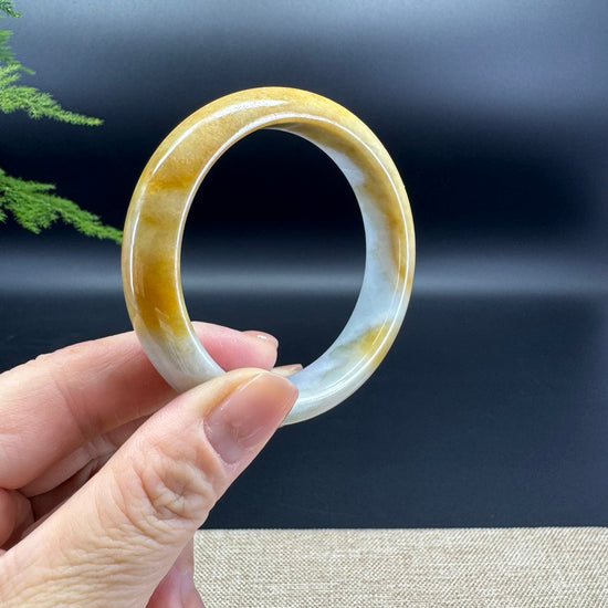 Genuine Burmese White Yellow Jade Jadeite Bangle Bracelet ( 53.8mm )
