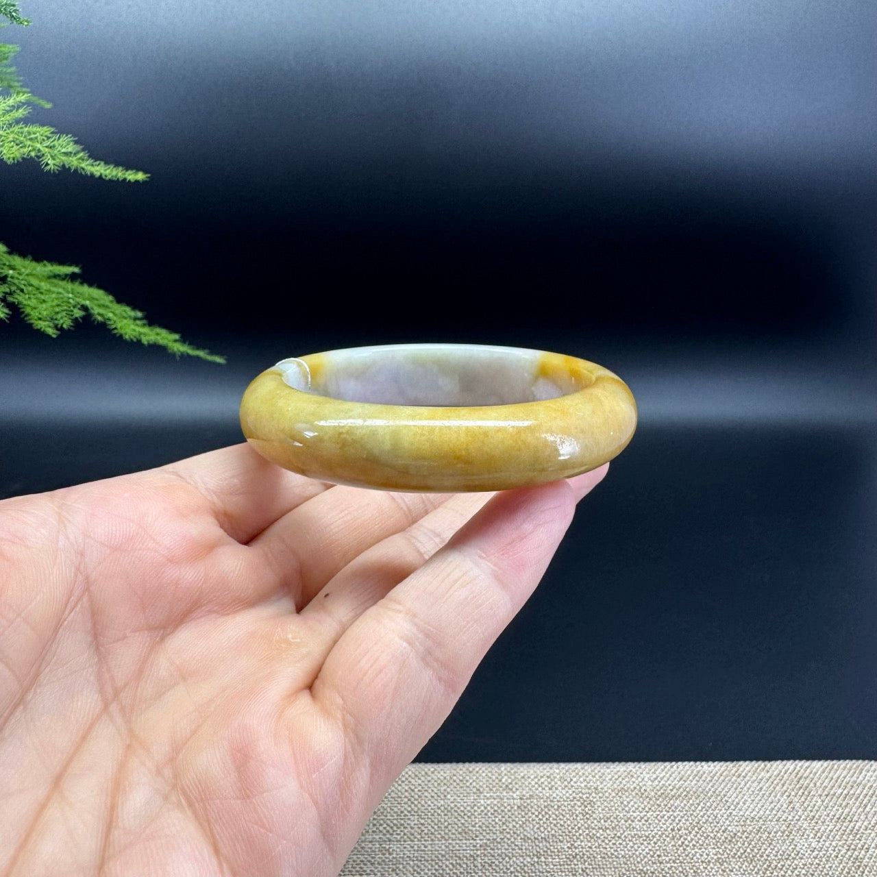 Genuine Burmese White Yellow Jade Jadeite Bangle Bracelet ( 53.8mm )