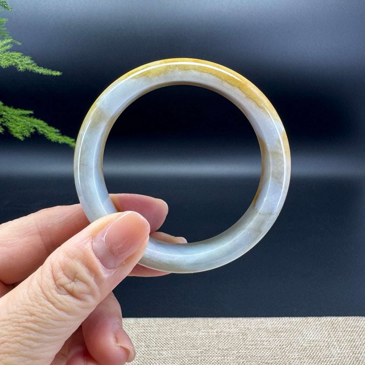 Genuine Burmese White Yellow Jade Jadeite Bangle Bracelet ( 53.8mm )
