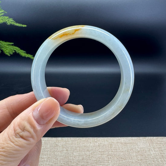 Genuine Burmese Yellow Green Jade Jadeite Bangle Bracelet ( 53.7mm )