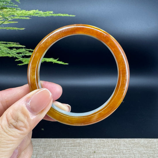 Genuine Burmese Icy Honey Yellow Jade Jadeite Bangle Bracelet ( 56.8mm)