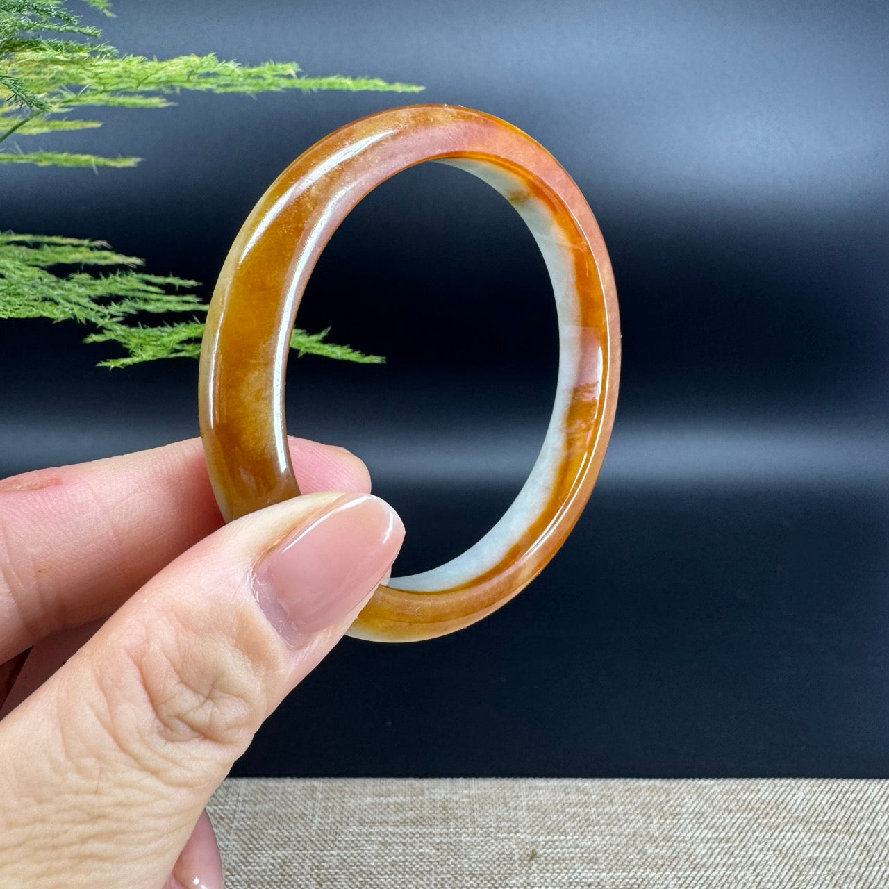 Genuine Burmese Icy Honey Yellow Jade Jadeite Bangle Bracelet ( 56.8mm)