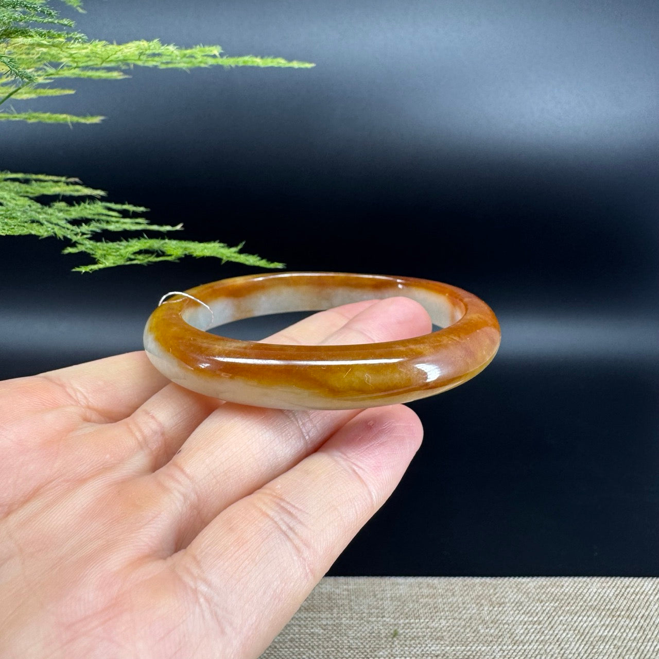 Genuine Burmese Icy Honey Yellow Jade Jadeite Bangle Bracelet ( 56.8mm)