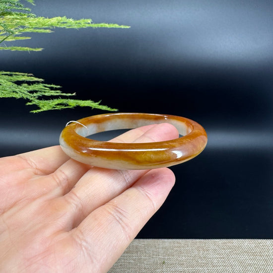 Genuine Burmese Icy Honey Yellow Jade Jadeite Bangle Bracelet ( 56.8mm)