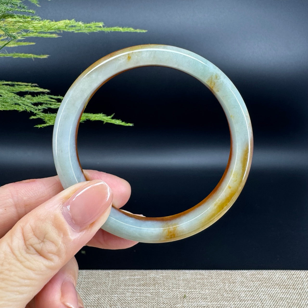 Genuine Burmese Icy Honey Yellow Jade Jadeite Bangle Bracelet ( 56.8mm)