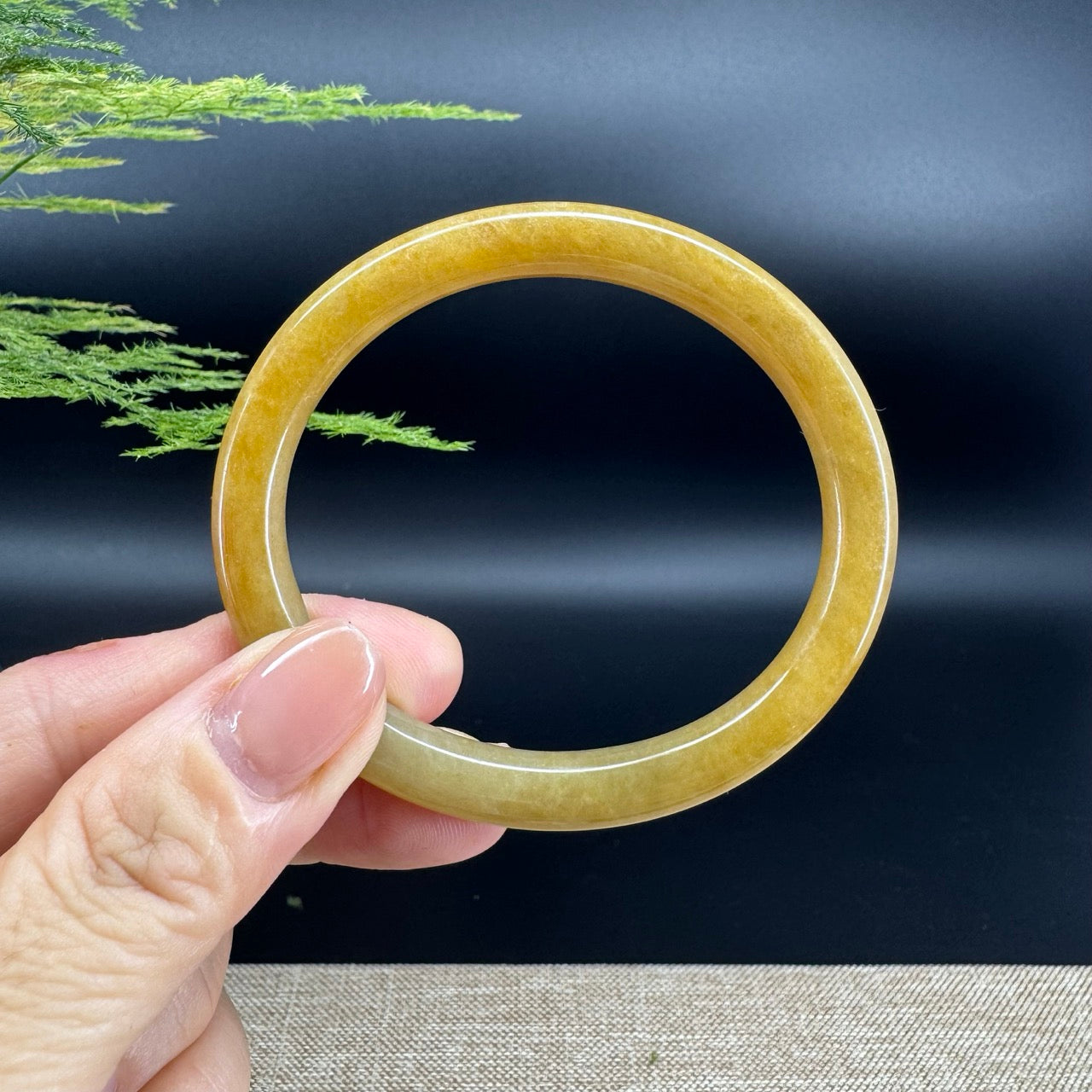 Genuine Burmese Icy Yellow Jade Jadeite Bangle Bracelet ( 56.1*49.5mm )