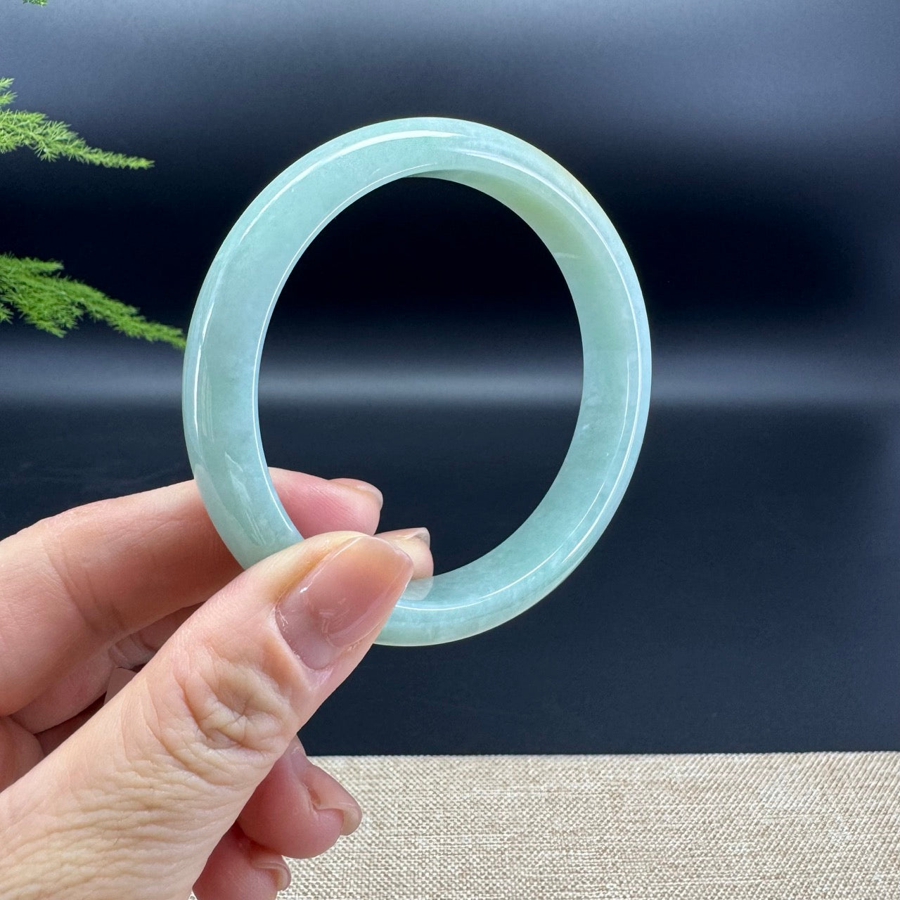 Genuine Burmese Apple Yellow Green Jade Jadeite Bangle Bracelet ( 60.8mm )