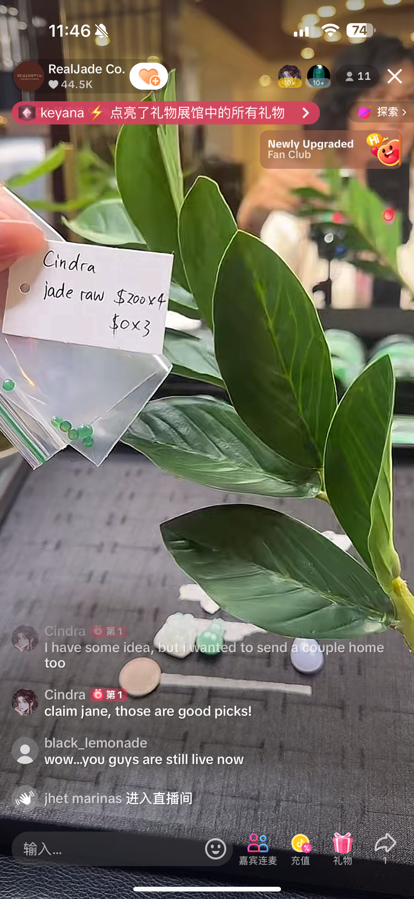 "Live" Natural Imperial Jadeite Jade Cabochon X 7" (08/30/25)