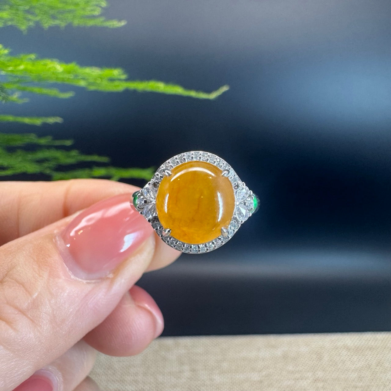 RealJade® "Signature Signet" 18K White Gold Honey Yellow Jadeite Jade Diamonds Classic Ring