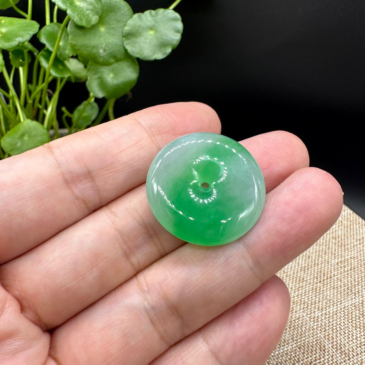 RealJade® "Good Luck Button" Necklace Ice green Jadeite Jade Lucky Ping An Kou Pendant