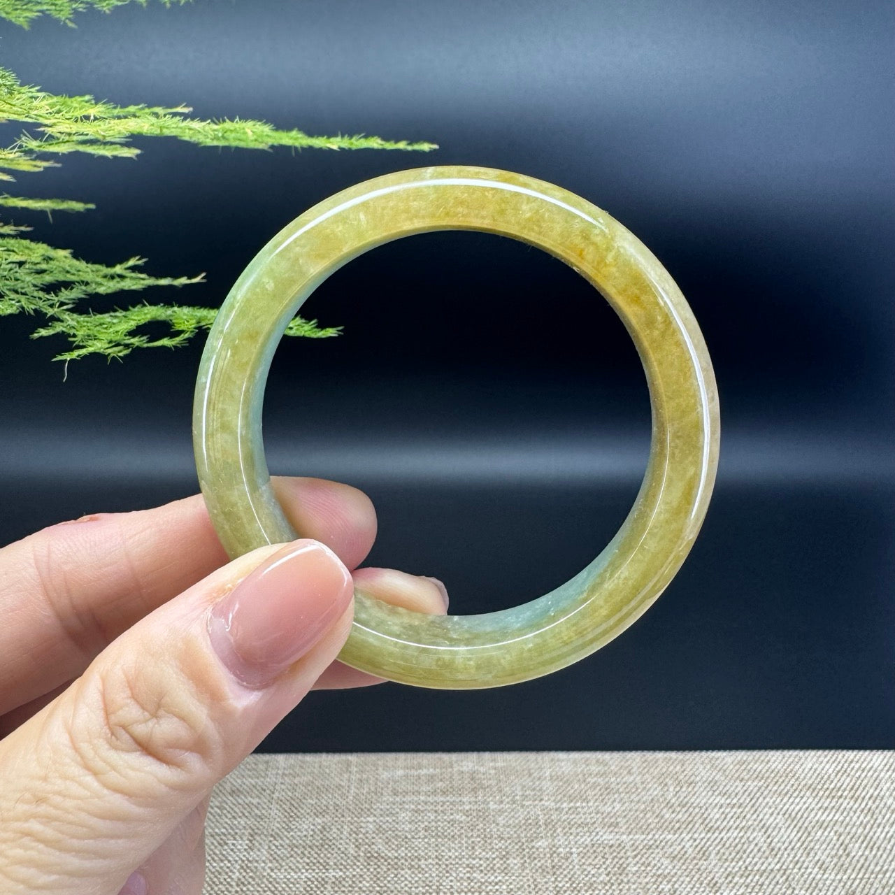 Genuine Burmese Yellow Green Jade Jadeite Bangle Bracelet ( 50.8mm )