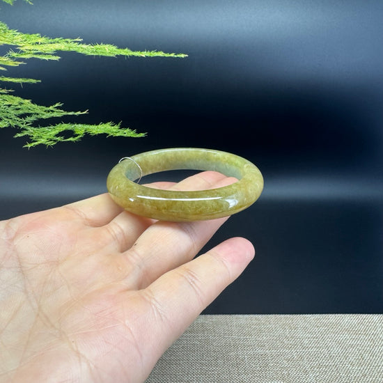 Genuine Burmese Yellow Green Jade Jadeite Bangle Bracelet ( 50.8mm )