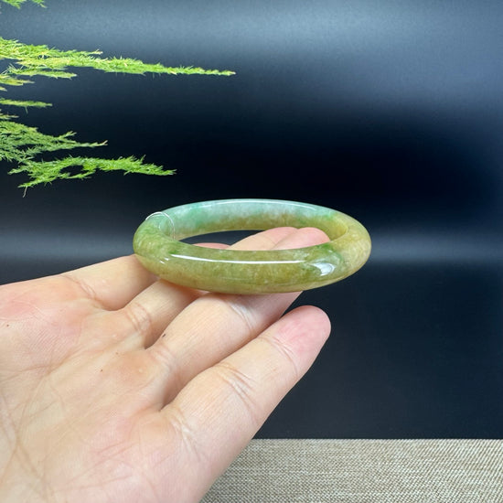 Genuine Burmese Yellow Green Jade Jadeite Bangle Bracelet ( 54.5*47mm )