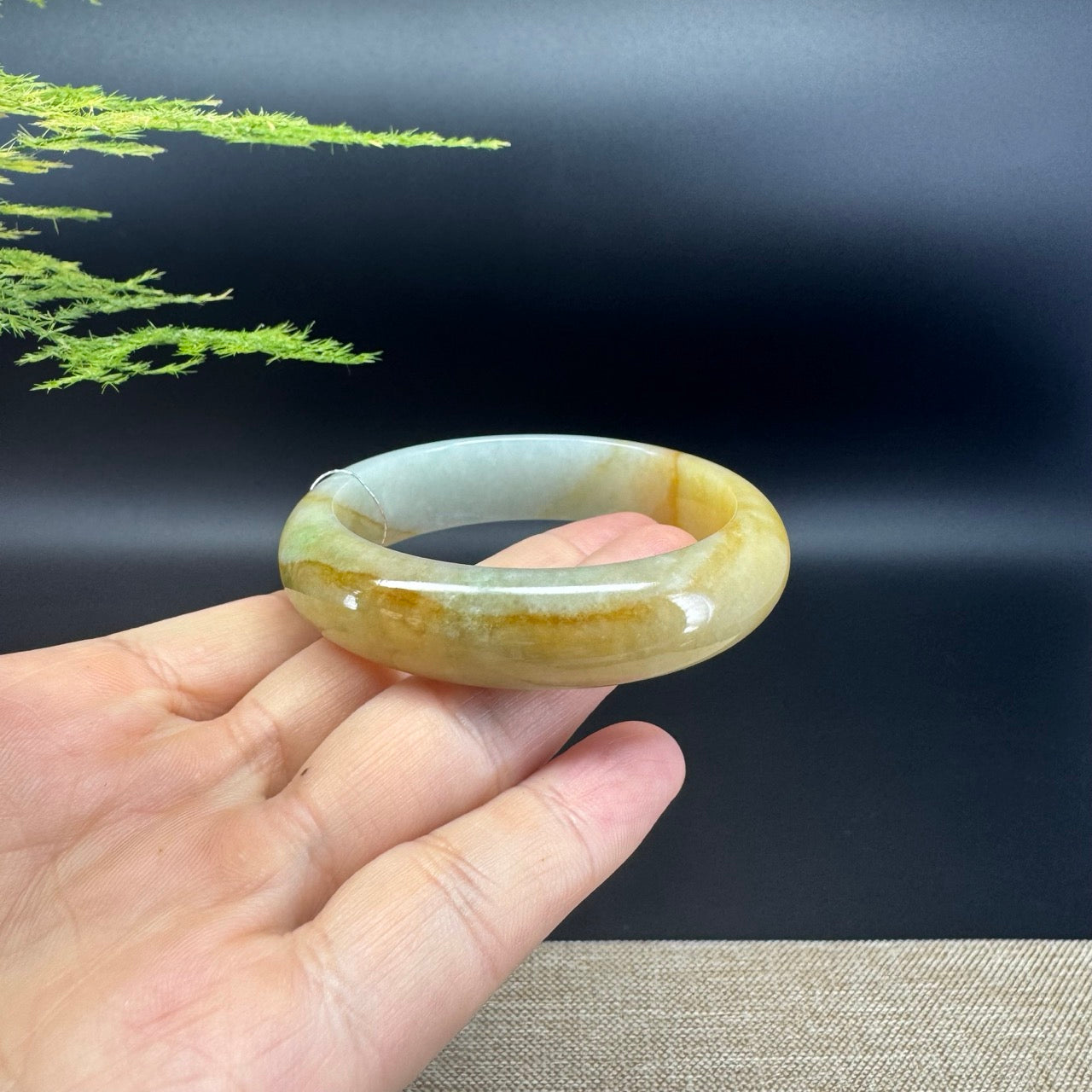 Genuine Burmese Yellow Green Jade Jadeite Bangle Bracelet ( 52.3mm )