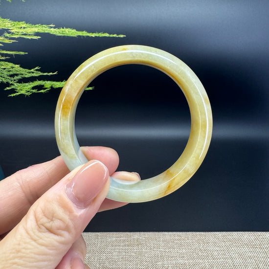 Genuine Burmese Yellow Green Jade Jadeite Bangle Bracelet ( 52.3mm )