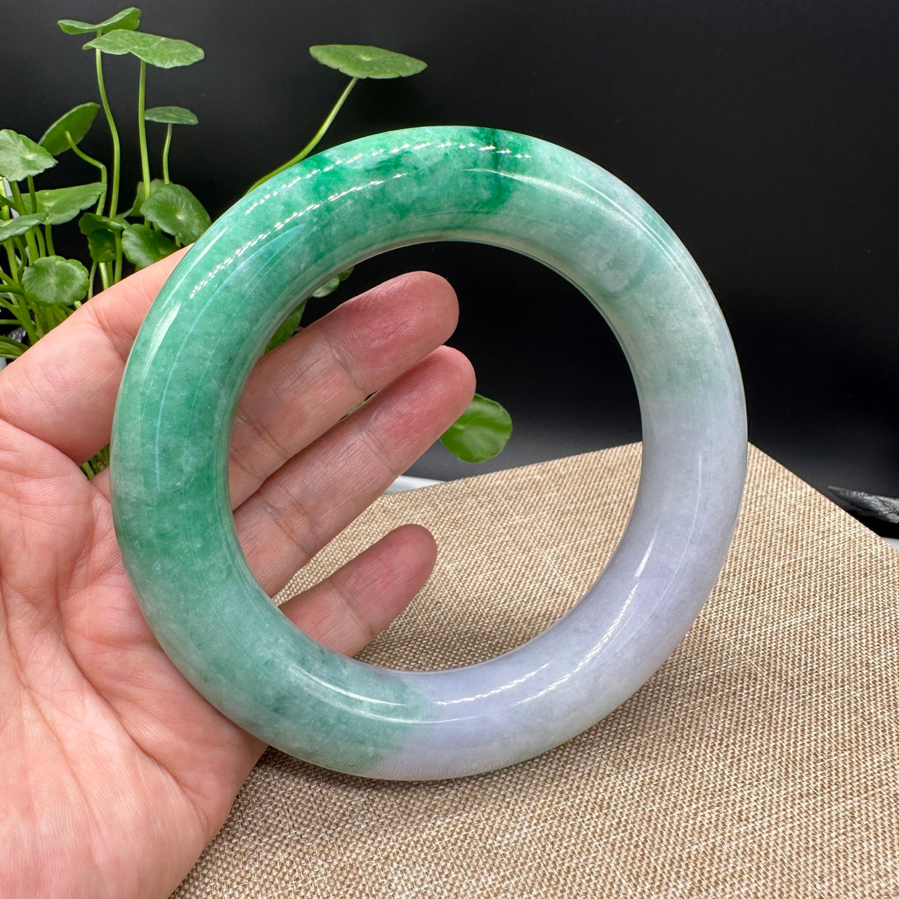 Genuine Burmese High-end Jade Large Jadeite Bangle Bracelet ( 80.3mm )( Collectibles )