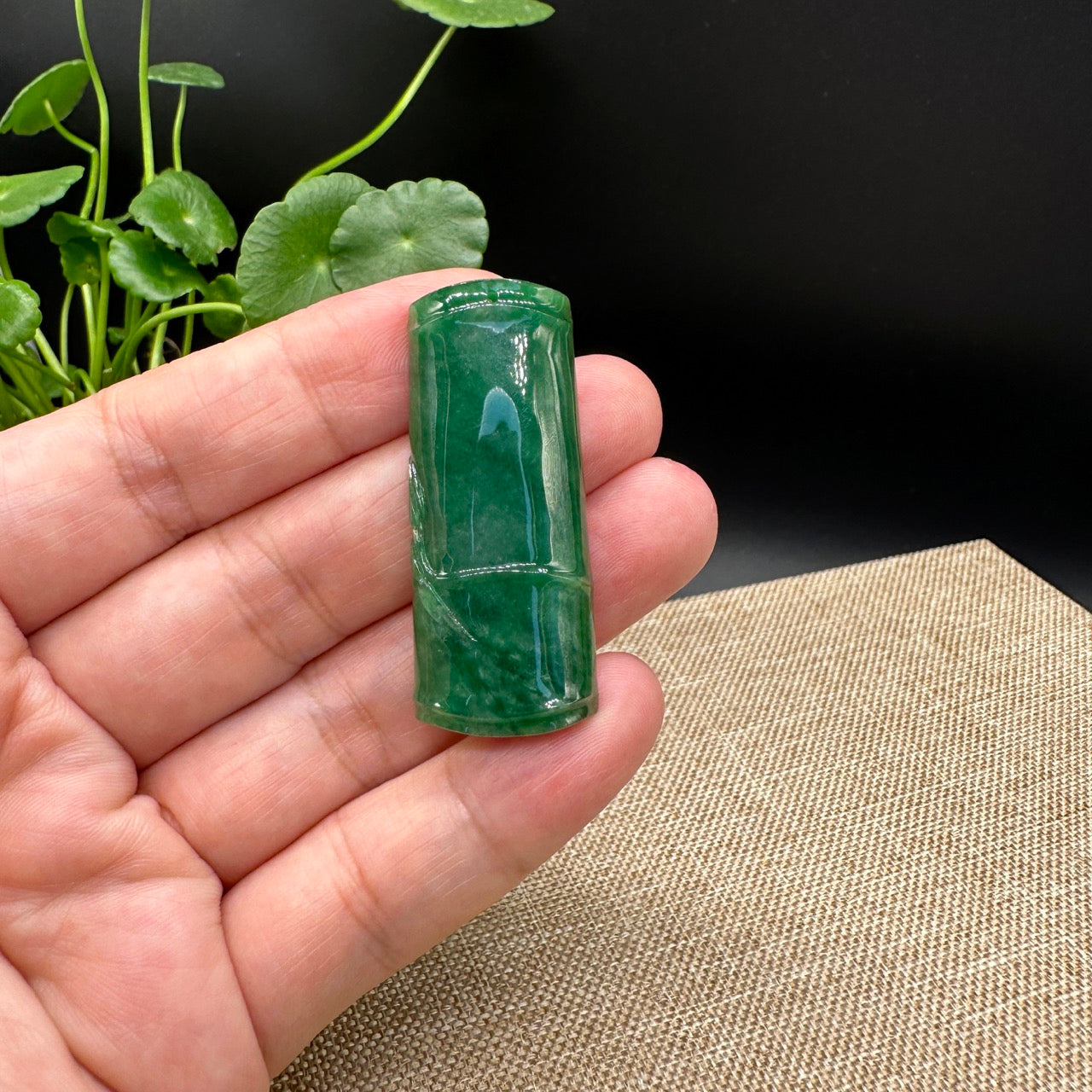 Genuine Green Jadeite Jade "Good Luck Bamboo" Pendant Necklace