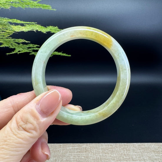 Genuine Burmese Yellow Green Jade Jadeite Bangle Bracelet ( 52.7mm )