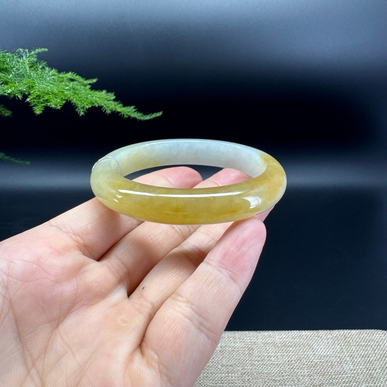 Genuine Burmese Icy Yellow Jade Jadeite Bangle Bracelet ( 53.8*46.8mm )
