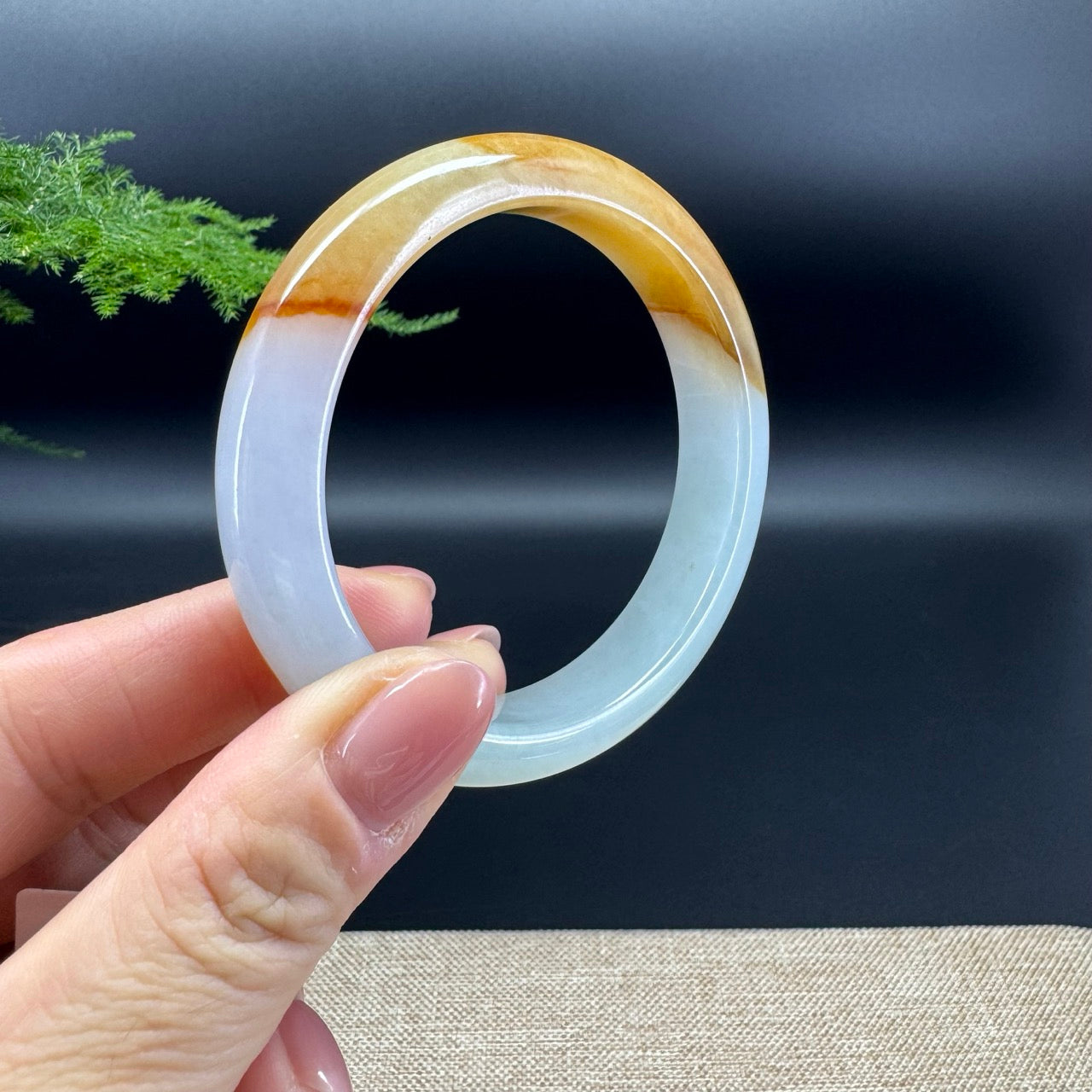 Genuine Burmese Yellow Jadeite Jade Bangle Bracelet ( 56.7mm)
